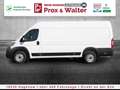 Fiat Ducato 35 Maxi L5H2 TEMPOMAT+KLIMA+Einparkhilfe Weiß - thumbnail 3
