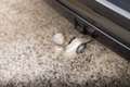 BMW X5 xDrive30dAS M Sport * Pano * Trekhaak * ACC * H/K Gris - thumbnail 22