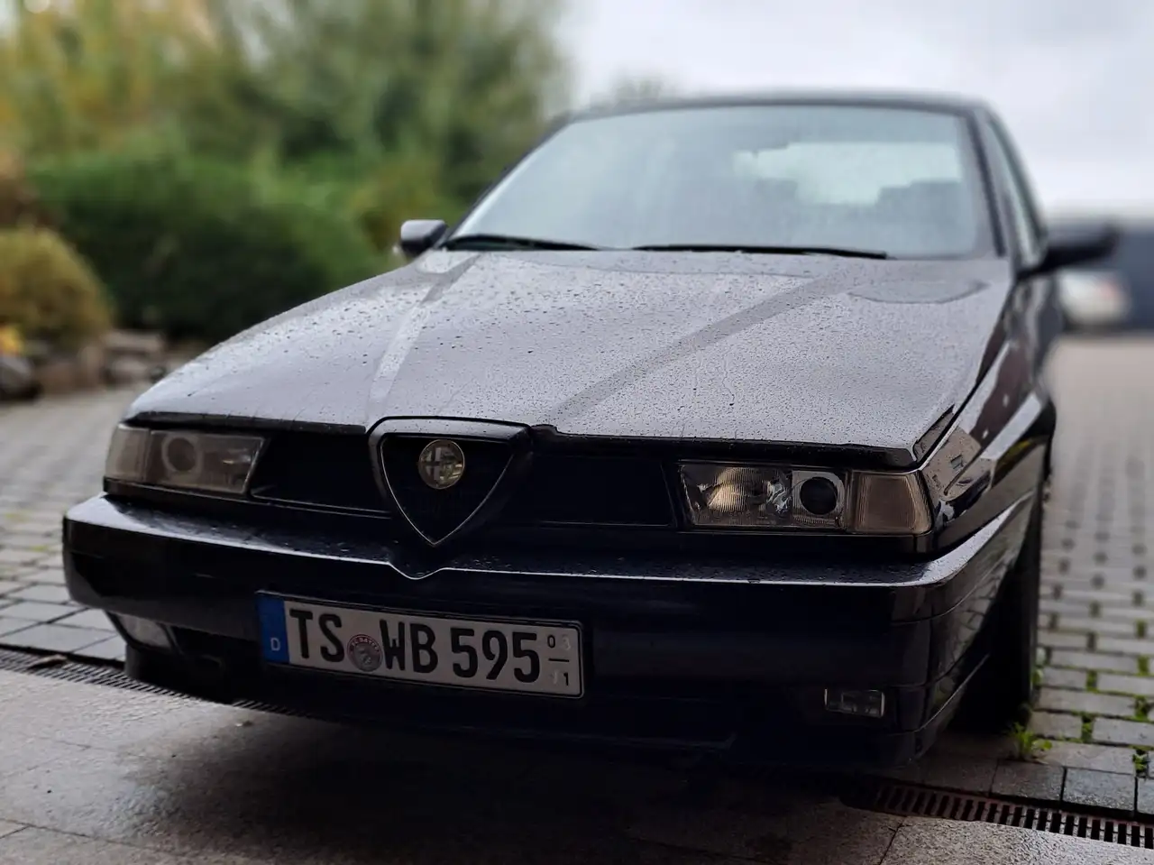 Alfa Romeo 155