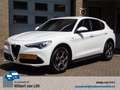 Alfa Romeo Stelvio 2.2 JTD Super Executive Sprint | Camera | Navi | A Wit - thumbnail 1