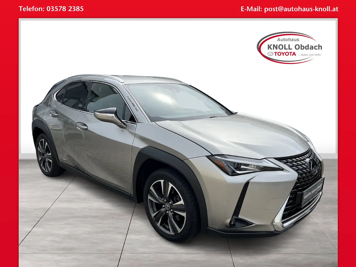 Lexus UX 250h AWD Grijs - 1