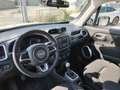 Jeep Renegade Renegade 1.0 T3 Longitude Bianco - thumbnail 5