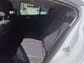 Ford Focus 1.0 Ecob. MHEV 114kW Active 155CV Blanco - thumbnail 8