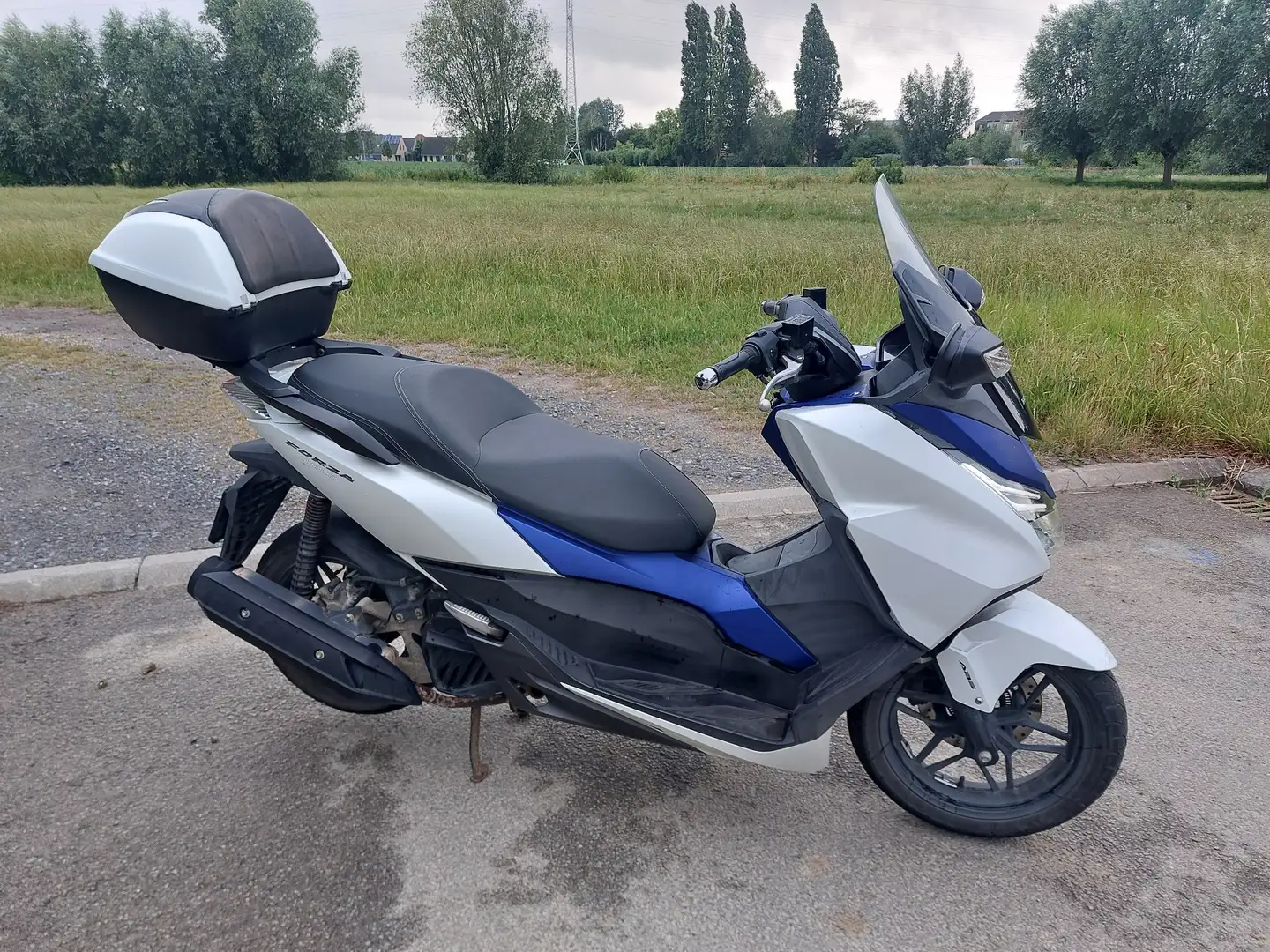Honda Forza 125 wit/blauw Blanc - 2