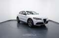 Alfa Romeo Stelvio 2.2 Turbodiesel 160cv AT8 RWD Sprint Grigio - thumbnail 8