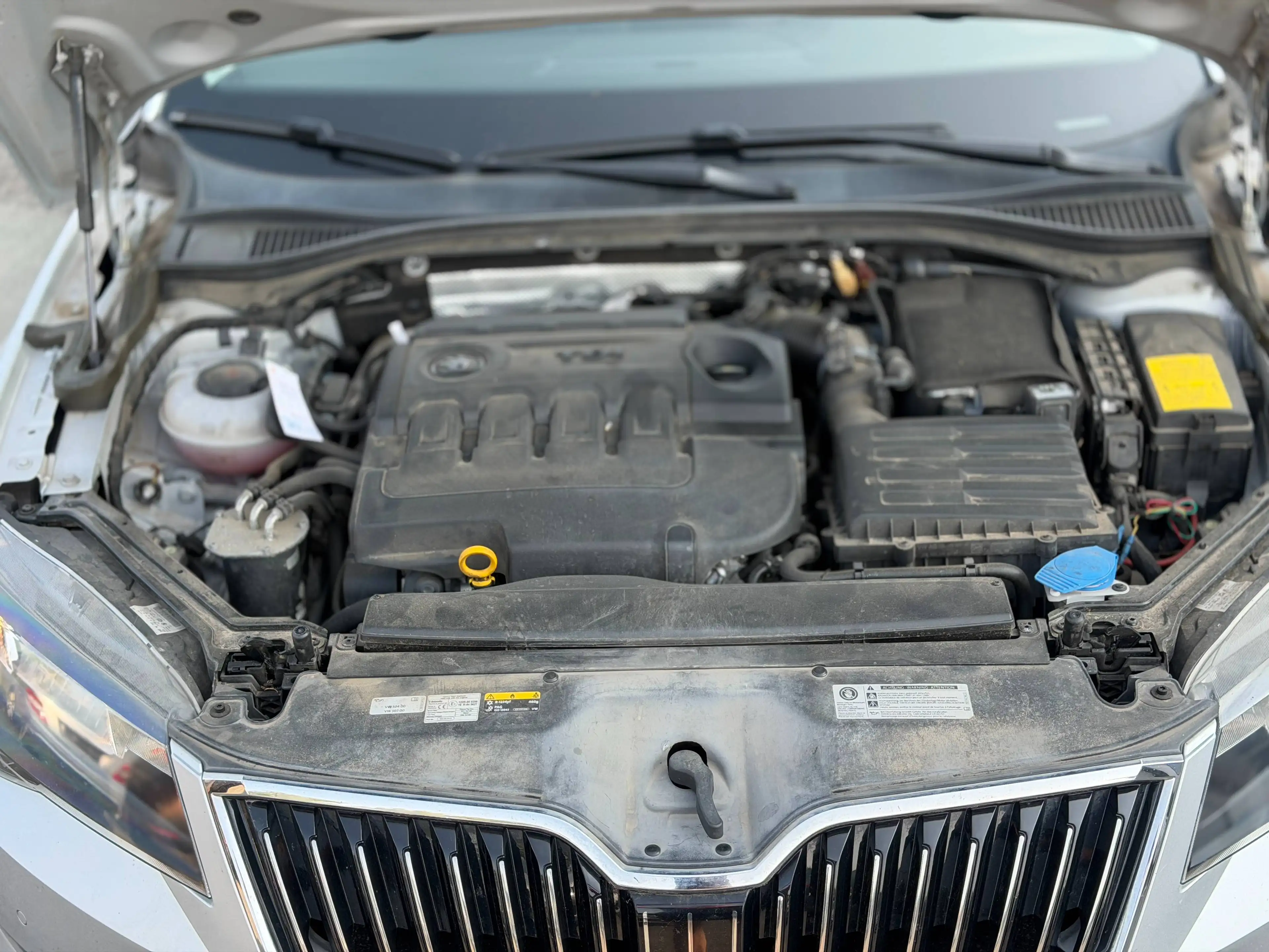 Skoda Superb Greenline/AHK/Standheitz — photo 11
