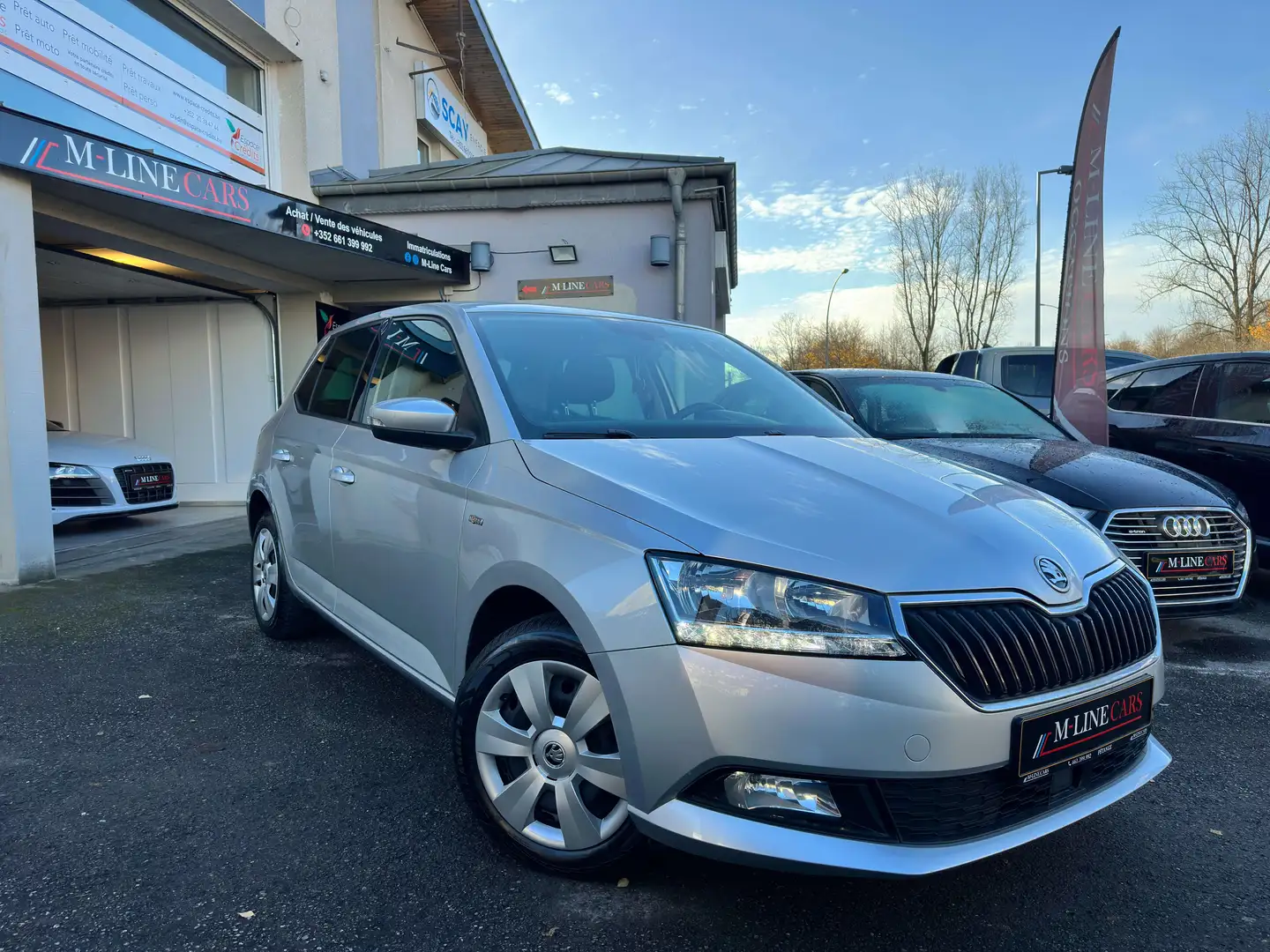 Skoda Fabia 1.0 TSI 95ch S\u0026S Gris - 1