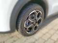 Citroen C3 Turbo 100 Max Weiß - thumbnail 10