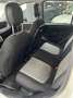 Fiat Panda Panda 0.9 t.air t. natural power Easy 80cv Weiß - thumbnail 7