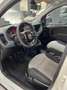 Fiat Panda Panda 0.9 t.air t. natural power Easy 80cv Weiß - thumbnail 8
