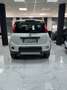 Fiat Panda Panda 0.9 t.air t. natural power Easy 80cv Weiß - thumbnail 6