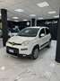 Fiat Panda Panda 0.9 t.air t. natural power Easy 80cv Weiß - thumbnail 2