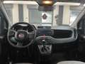 Fiat Panda Panda 0.9 t.air t. natural power Easy 80cv Weiß - thumbnail 10