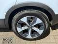 Volvo XC40 Plus Dark 2WD Blau - thumbnail 8