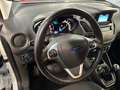 Ford Tourneo Courier 1,0 EcoBoost Trend Start/Stop Weiß - thumbnail 14