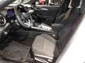 Alfa Romeo Tonale 1.6 Sprint 130cv tct6 km 0 Bianco - thumbnail 12