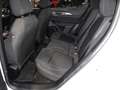 Alfa Romeo Tonale 1.6 Sprint 130cv tct6 km 0 Bianco - thumbnail 14