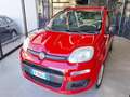 Fiat Panda 1.2 Easy ( Garanzia 12 Mesi) Rosso - thumbnail 2