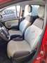 Fiat Panda 1.2 Easy ( Garanzia 12 Mesi) Rosso - thumbnail 10
