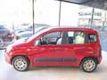 Fiat Panda 1.2 Easy ( Garanzia 12 Mesi) Rosso - thumbnail 8
