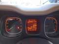 Fiat Panda 1.2 Easy ( Garanzia 12 Mesi) Rosso - thumbnail 14