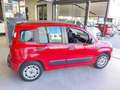 Fiat Panda 1.2 Easy ( Garanzia 12 Mesi) Rosso - thumbnail 4