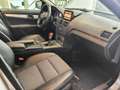 Mercedes-Benz C 220 Classe C cdi Avantgarde AMG Beige - thumbnail 8