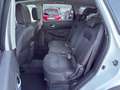 Nissan Qashqai QASQHAI 1.5DCI 7 POSTI TETTO PANORAMICO Bianco - thumbnail 7