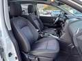 Nissan Qashqai QASQHAI 1.5DCI 7 POSTI TETTO PANORAMICO Bianco - thumbnail 14