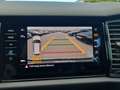 Skoda Kodiaq RS 2.0 TDI 4x4 DSG, 7-SITZE/CANTON/AHK/KA Schwarz - thumbnail 18