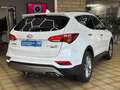 Hyundai SANTA FE blue Premium 4WD*HU/AU*PANO*AHK*MEMORY* Biały - thumbnail 6
