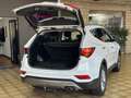 Hyundai SANTA FE blue Premium 4WD*HU/AU*PANO*AHK*MEMORY* Biały - thumbnail 9