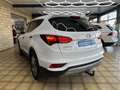 Hyundai SANTA FE blue Premium 4WD*HU/AU*PANO*AHK*MEMORY* Biały - thumbnail 4