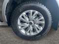 Isuzu D-Max D-MAX Double Cab 4x4 LS Aut. Silber - thumbnail 9