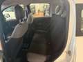 Fiat Panda Panda 1.0 firefly hybrid CityLife s VARIE UNITà Wit - thumbnail 8