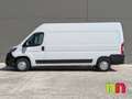 Fiat Ducato Furgón Maxi 35 L3H2 2.3 Mjet. (103 kW) Blanc - thumbnail 7