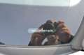 SEAT Leon ST FR LKW 2Sitze Grigio - thumbnail 16