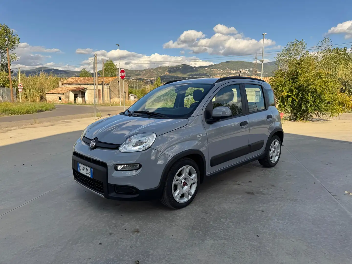Fiat Panda Panda Cross 1.0 FireFly S&S Hybrid Gris - 2