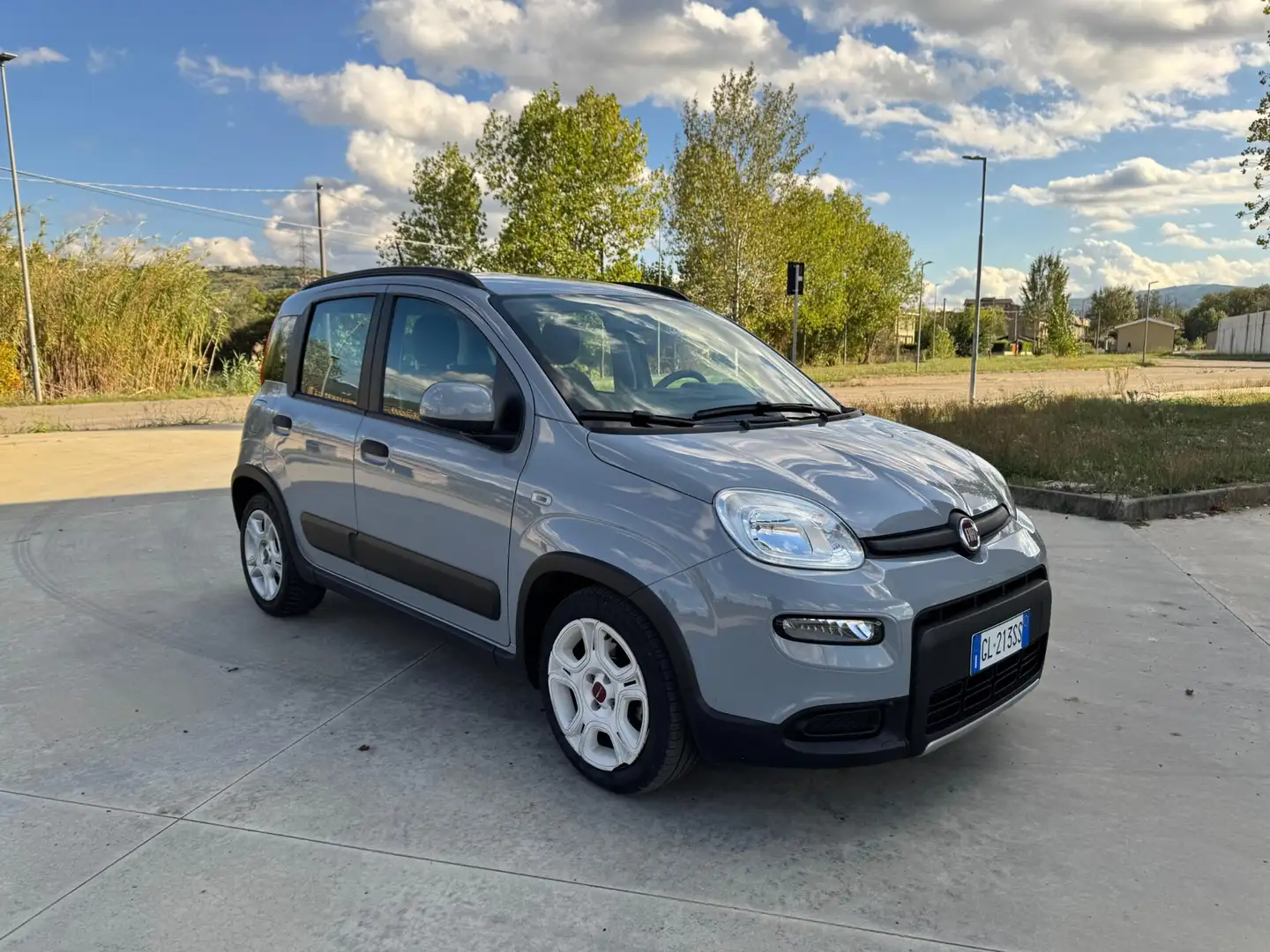 Fiat Panda Panda Cross 1.0 FireFly S&S Hybrid Gris - 1