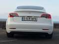 Tesla Model 3 Model 3 Standard RWD Plus Blanco - thumbnail 19