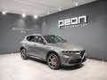 Alfa Romeo Tonale 1.6 DS Veloce FWD Gris - thumbnail 24