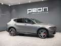 Alfa Romeo Tonale 1.6 DS Veloce FWD Gris - thumbnail 23