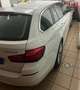 BMW 525 Serie 5 F11 Touring 525d xdrive Luxury auto E6 Bianco - thumbnail 2