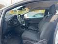 Ford Fiesta Cool & Connect LED*8fach bereift*Tempomat Wit - thumbnail 14