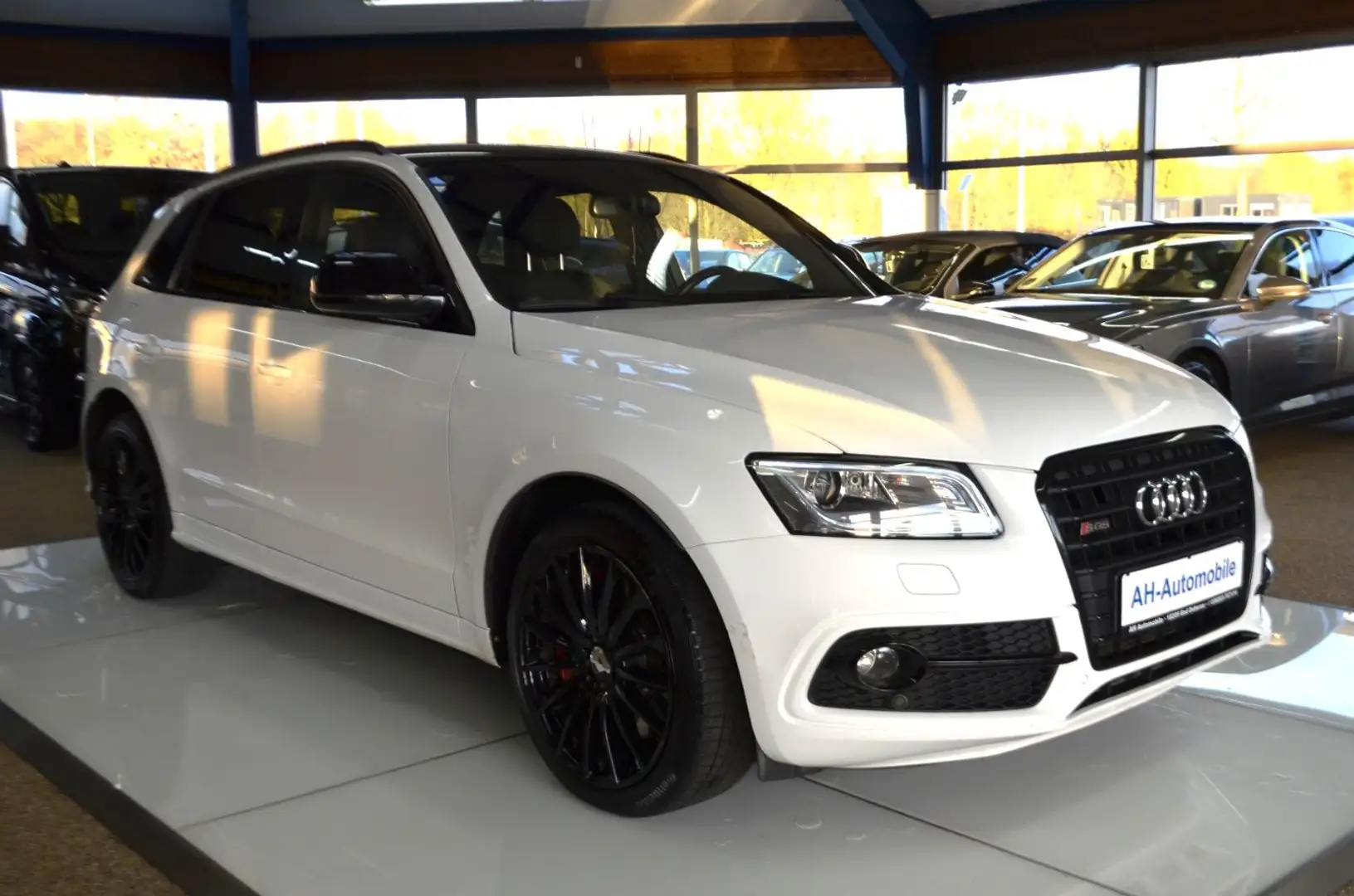 Audi SQ5 3.0 TDI competition quattro AUTOMATIK / PDC Weiß - 2