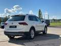 Volkswagen Tiguan Highline 4Motion AHK ACC 1.Hand Blanc - thumbnail 6