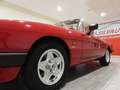 Alfa Romeo Spider 1.6 TIPO 115.35 ”AERODINAMICA” ASI CRS (1989) Rojo - thumbnail 5