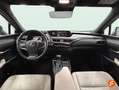 Lexus UX 250h 2.0 Business Blau - thumbnail 12