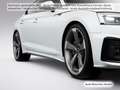 Audi A5 40 TFSI qu. S tronic S line Pano/AH Weiß - thumbnail 11