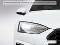 Audi A5 40 TFSI qu. S tronic S line Pano/AH Weiß - thumbnail 8